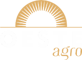 Logo Rodapé